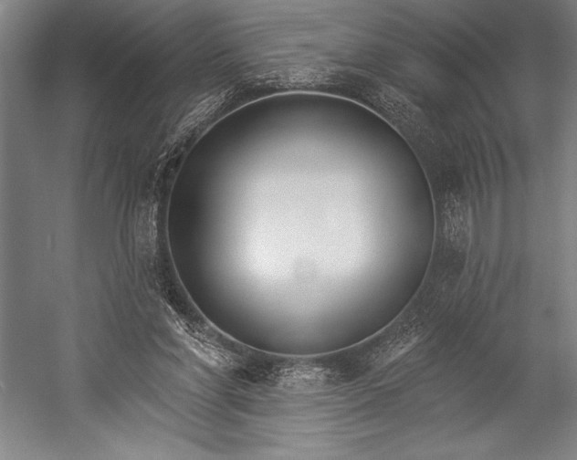 X0000053000206200507221256