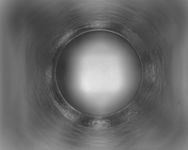 X0000053000208200507221256