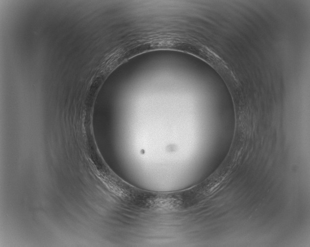 X0000053000209200507221256