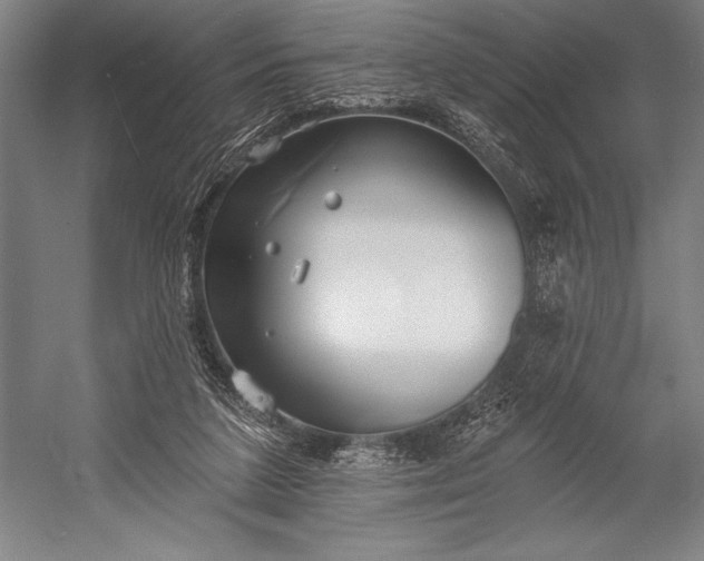 X0000053000211200507221255