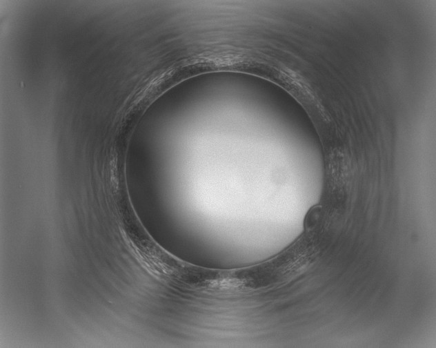 X0000053000212200507221255