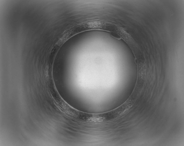 X0000053000213200507221255