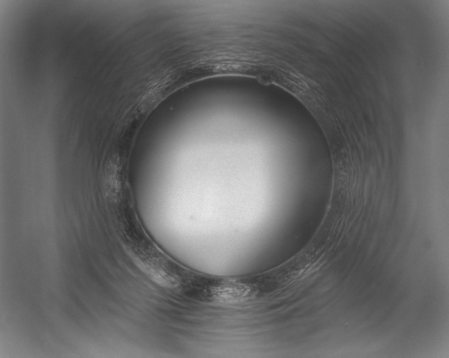 X0000053000215200507221255