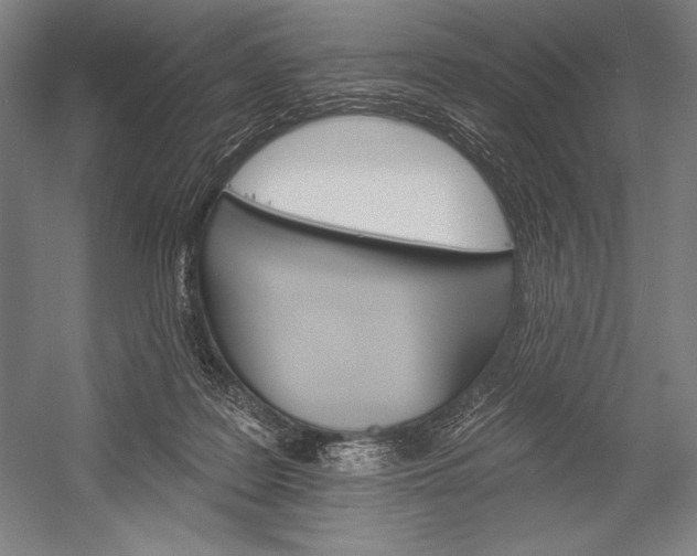 X0000053000219200507221255