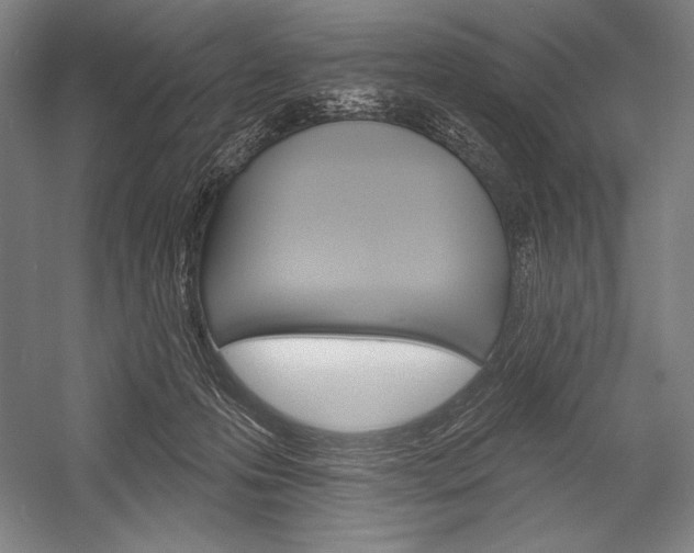 X0000053000223200507221255