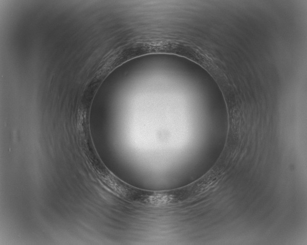 X0000053000225200507221255