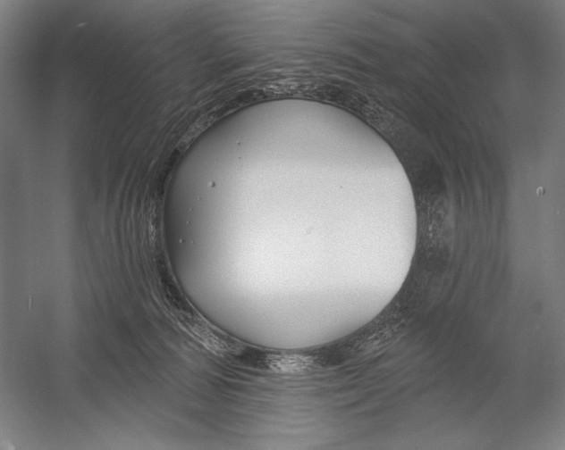 X0000053000226200507221255