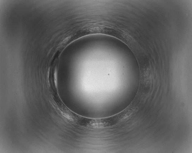 X0000053000228200507221255