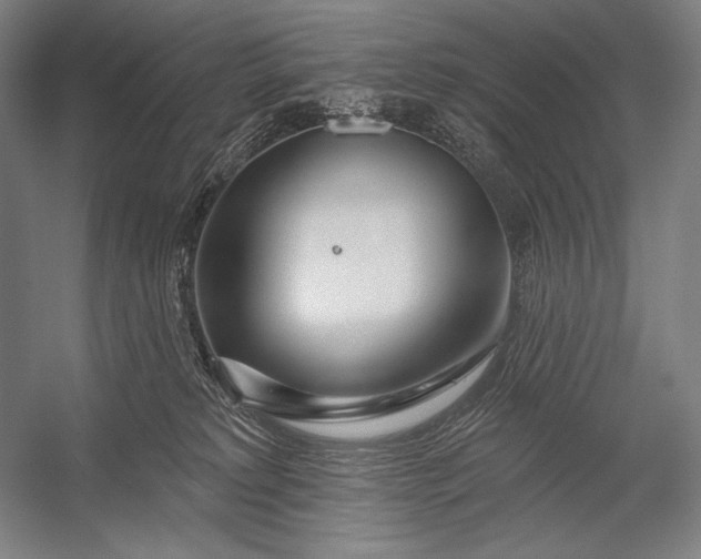 X0000053000229200507221255