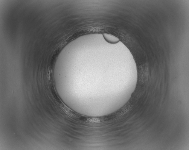 X0000053000230200507221255