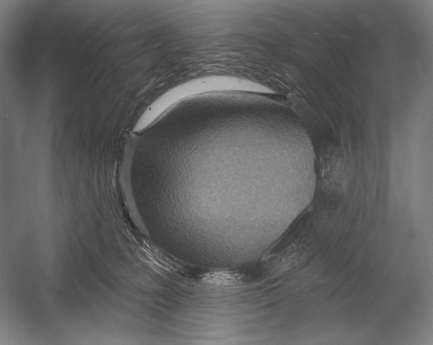 X0000053000231200507221255