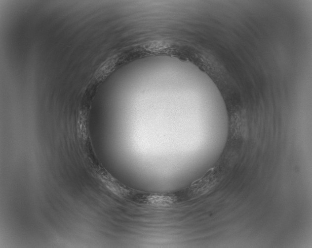 X0000053000234200507221255