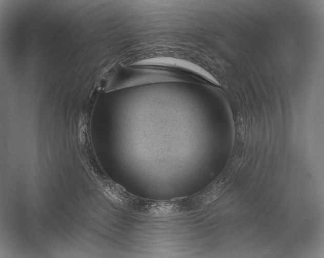 X0000053000235200507221255