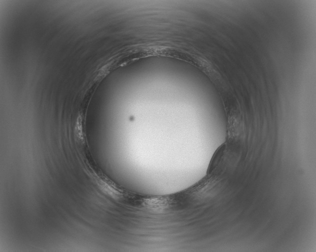 X0000053000238200507221255