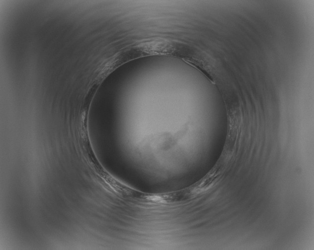 X0000053000239200507221255