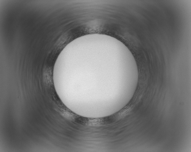 X0000053000240200507221255