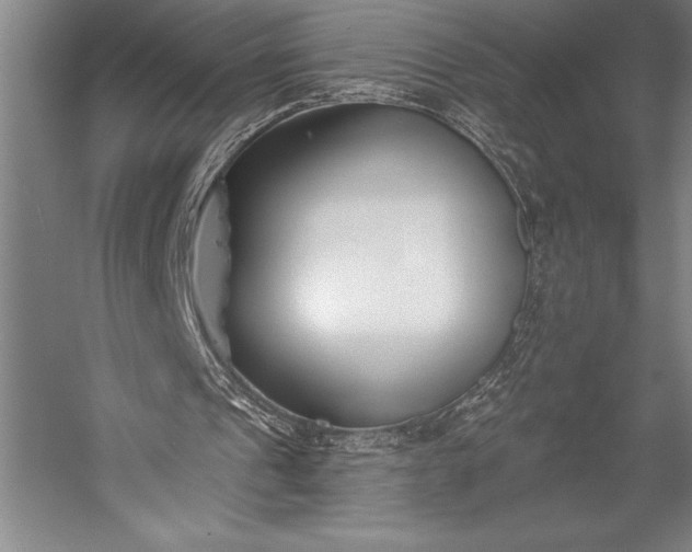 X0000053000241200507221254