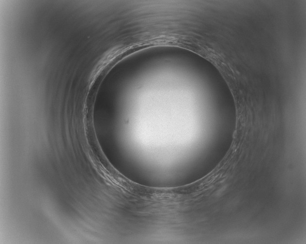 X0000053000242200507221254