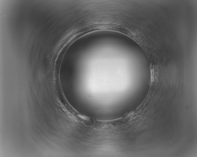 X0000053000243200507221254