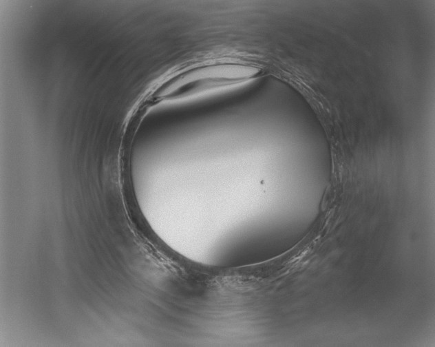 X0000053000244200507221254