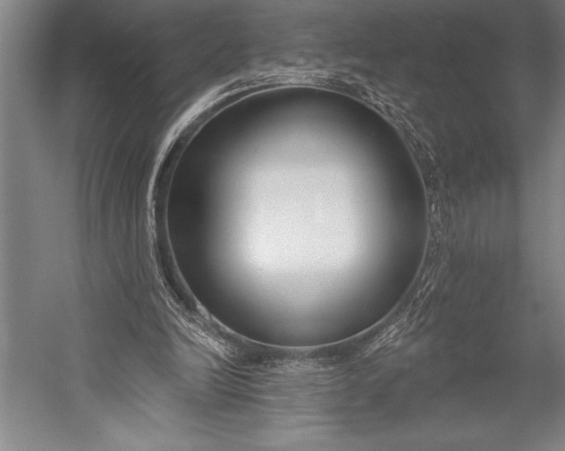 X0000053000246200507221254