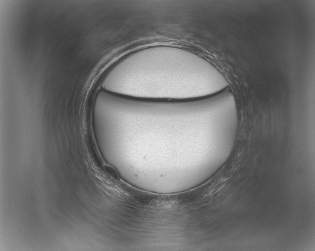 X0000053000247200507221254