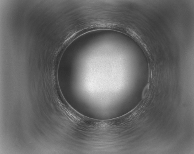 X0000053000249200507221254