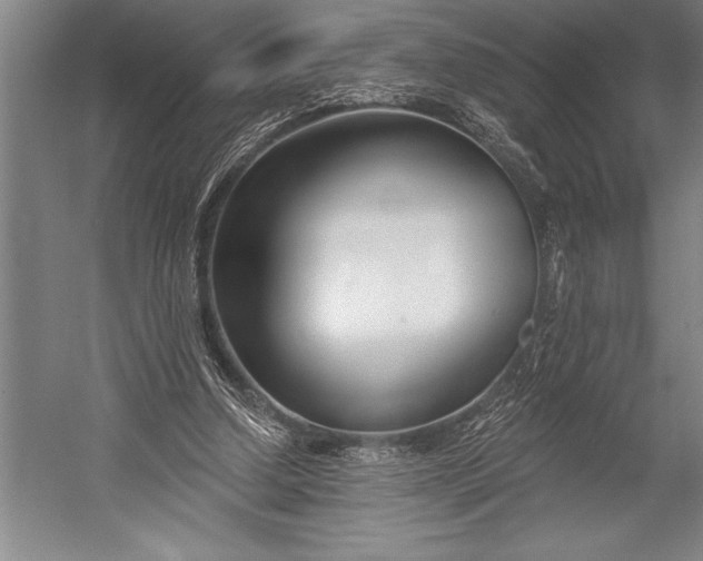 X0000053000250200507221254