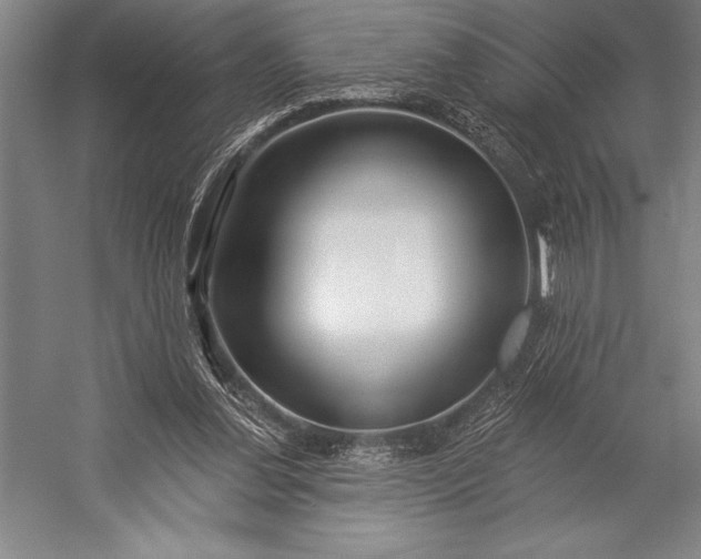 X0000053000252200507221254