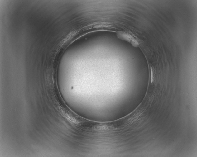 X0000053000253200507221254