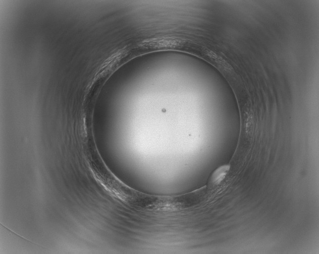 X0000053000254200507221254