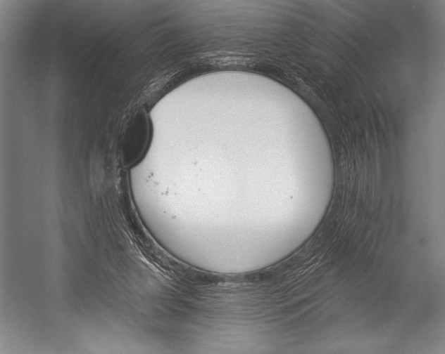 X0000053000255200507221254