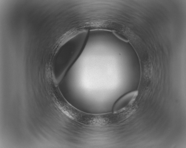 X0000053000256200507221254