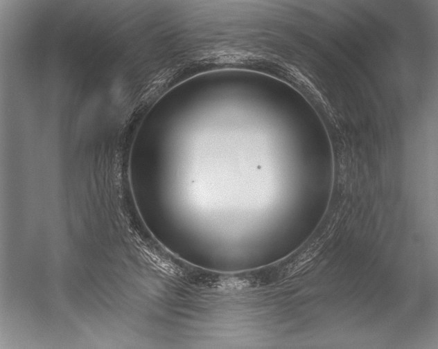 X0000053000257200507221254