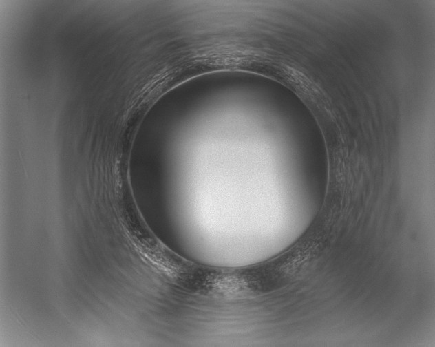 X0000053000258200507221254