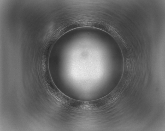 X0000053000259200507221254