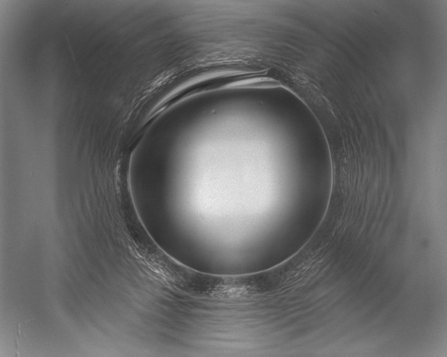 X0000053000260200507221254