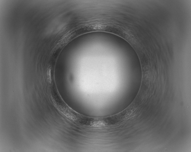 X0000053000262200507221255