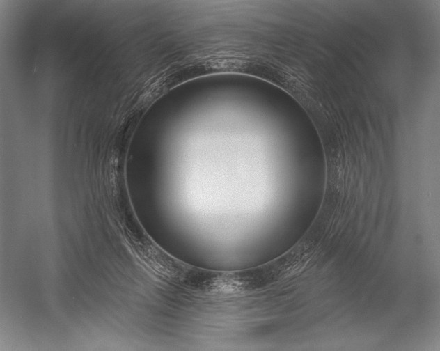 X0000053000263200507221255