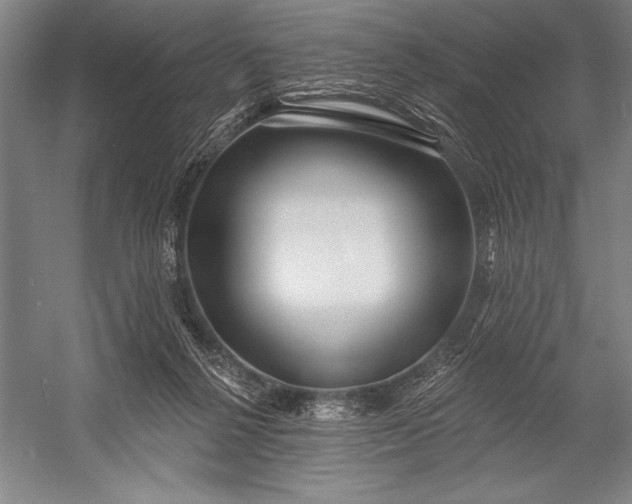 X0000053000264200507221255