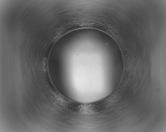 X0000053000273200507221255