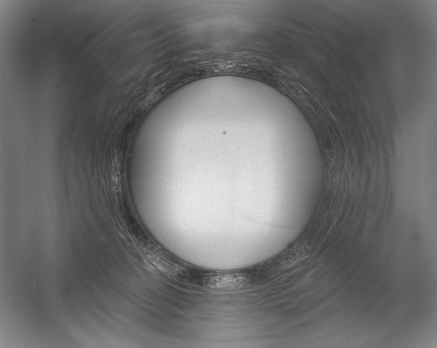 X0000053000274200507221255