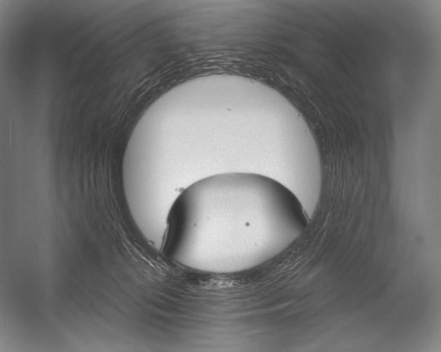 X0000053000276200507221255