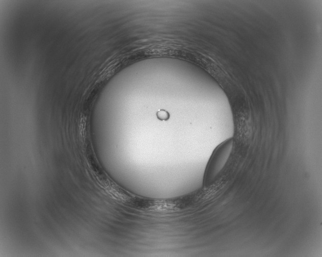 X0000053000278200507221255