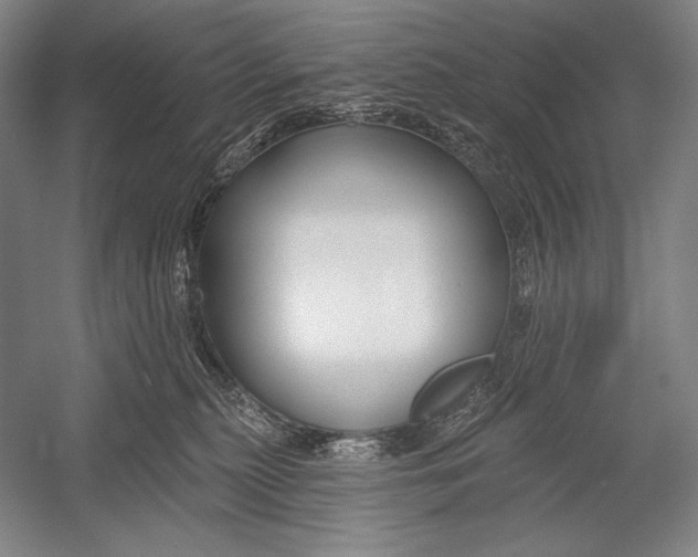 X0000053000279200507221255