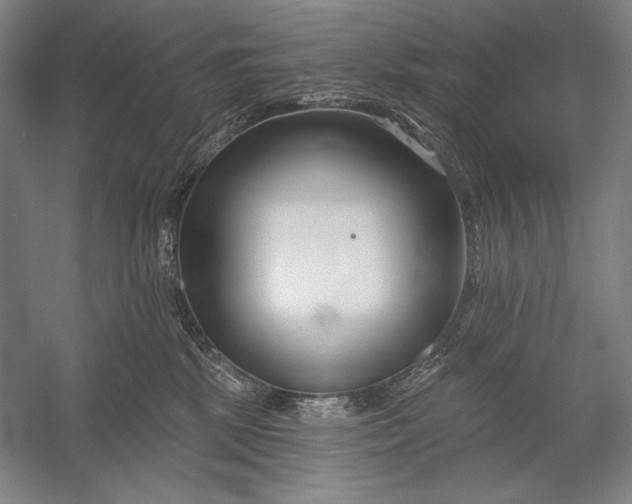 X0000053000281200507221255