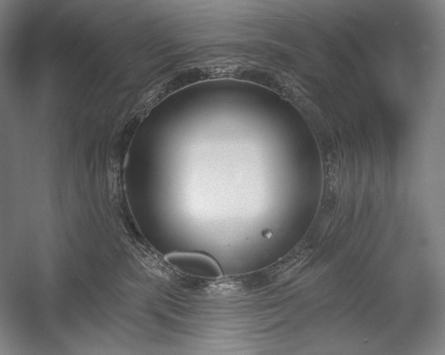 X0000053000283200507221255