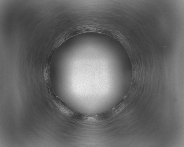 X0000053000285200507221255