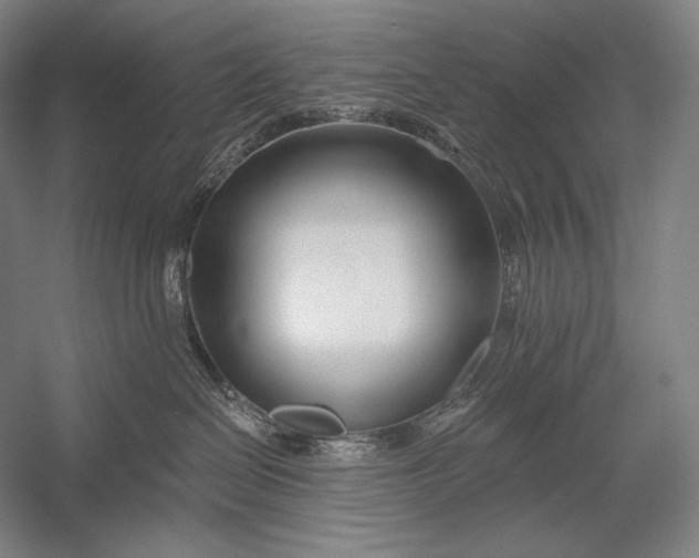 X0000053000286200507221255