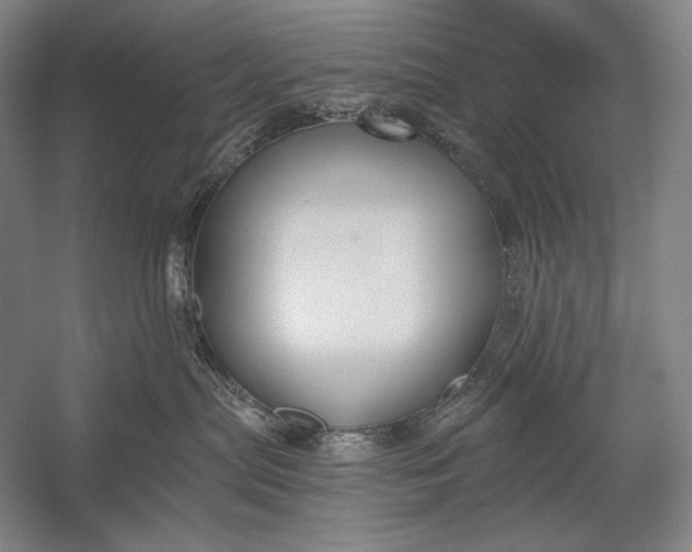 X0000053000287200507221255